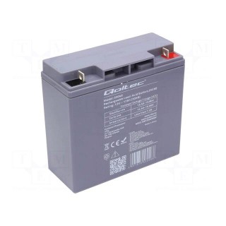 Re-battery: acid-lead | 12V | 17Ah | AGM | maintenance-free
