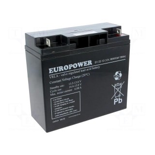 Re-battery: acid-lead | 12V | 20Ah | AGM | maintenance-free | EV