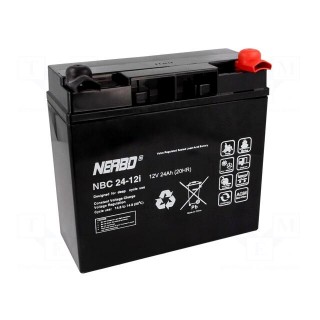 Re-battery: acid-lead | 12V | 24Ah | AGM | maintenance-free | 7kg