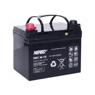 Re-battery: acid-lead | 12V | 36Ah | AGM | maintenance-free
