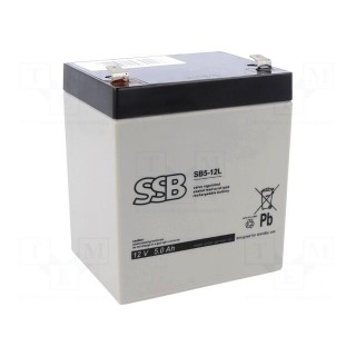Re-battery: acid-lead | 12V | 5Ah | AGM | maintenance-free | 1.83kg
