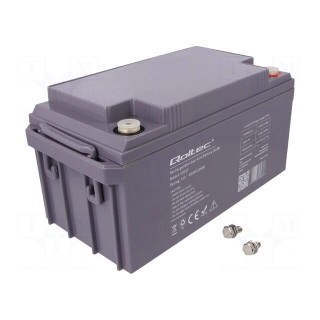 Re-battery: acid-lead | 12V | 65Ah | AGM | maintenance-free