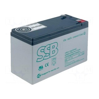 Re-battery: acid-lead | 12V | 7.2Ah | AGM | maintenance-free | 2.5kg