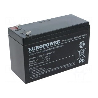 Re-battery: acid-lead | 12V | 8Ah | AGM | maintenance-free | EV