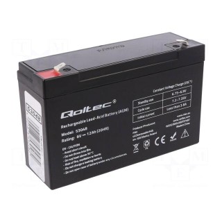 Re-battery: acid-lead | 6V | 12Ah | AGM | maintenance-free