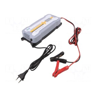 Charger: for rechargeable batteries | 12/24V | 20A | 20÷200Ah | IP65