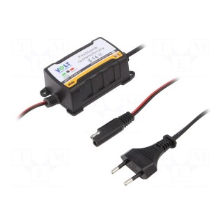 Charger: for rechargeable batteries | 6/12V | 1.2A | IP65