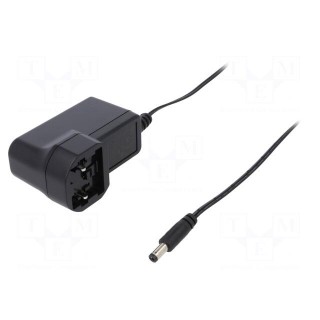 Power supply: switched-mode | mains,plug | 18VDC | 0.33A | 6W | 79%