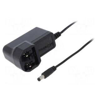 Power supply: switched-mode | mains,plug | 24VDC | 0.25A | 6W | 80%