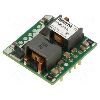 Converter: DC/DC | Uin: 18÷75V | Uout: 12VDC | Iout: 20A | THT | RPMGS-20
