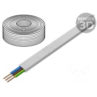 Wire | YDY | 3G4mm2 | flat | solid | Cu | PVC | white | 450V,750V | 100m
