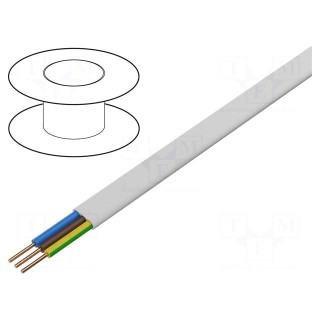 Wire | YDY | 3G1mm2 | flat | solid | Cu | PVC | white | 300V,500V | 100m