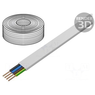 Wire | YDY | 4G2.5mm2 | flat | solid | Cu | PVC | white | 450V,750V | 100m