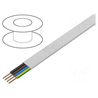 Wire | YDY | 4G1mm2 | flat | solid | Cu | PVC | white | 450V,750V | 100m