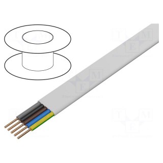 Wire | YDY | 5G1.5mm2 | flat | solid | Cu | PVC | white | 450V,750V | 100m