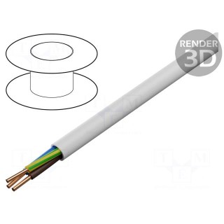 Wire | YDY | 3G10mm2 | round | solid | Cu | PVC | white | 450V,750V | 100m