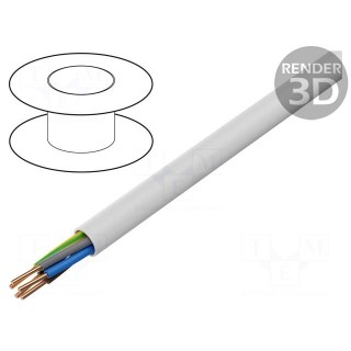 Wire | YDY | 5G10mm2 | round | solid | Cu | PVC | white | 450V,750V | 100m