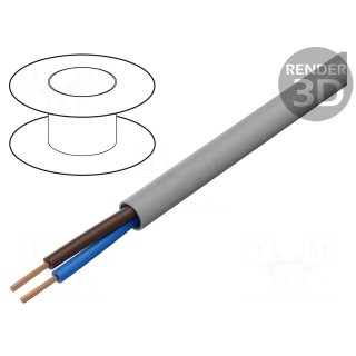 Wire | ÖLFLEX® CLASSIC 100 H | 2x2.5mm2 | unshielded | 450V,750V | Cu
