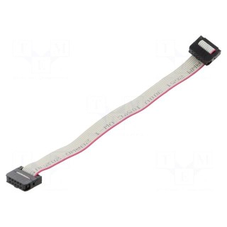 Ribbon cable with IDC connectors | Cable ph: 1mm | 0.15m | 10x28AWG