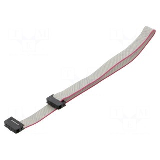 Ribbon cable with IDC connectors | Cable ph: 1mm | 0.3m | 10x28AWG