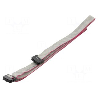 Ribbon cable with IDC connectors | Cable ph: 1mm | 0.6m | 10x28AWG