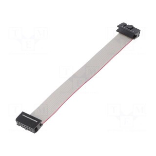 Ribbon cable with IDC connectors | 12x28AWG | Cable ph: 1.27mm