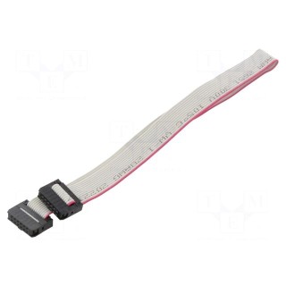 Ribbon cable with IDC connectors | Cable ph: 1mm | 0.3m | 12x28AWG