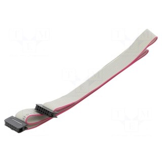 Ribbon cable with IDC connectors | Cable ph: 1mm | 0.6m | 12x28AWG