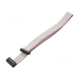 Ribbon cable with IDC connectors | Cable ph: 1mm | 0.3m | 14x28AWG