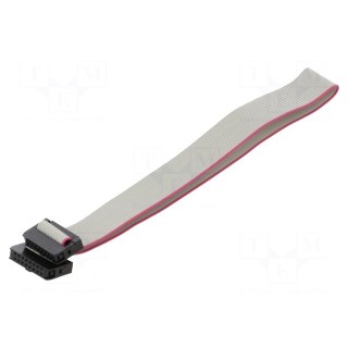 Ribbon cable with IDC connectors | Cable ph: 1mm | 0.3m | 16x28AWG