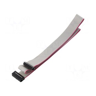 Ribbon cable with IDC connectors | Cable ph: 1mm | 0.6m | 16x28AWG