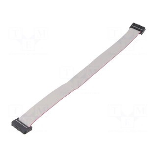 Ribbon cable with IDC connectors | 18x28AWG | Cable ph: 1.27mm