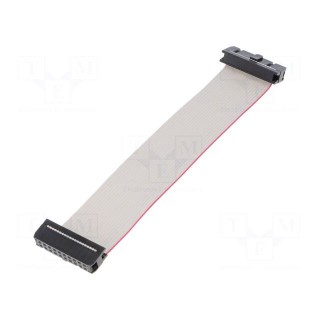 Ribbon cable with IDC connectors | 20x28AWG | Cable ph: 1.27mm