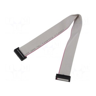 Ribbon cable with IDC connectors | Cable ph: 1mm | 0.3m | 20x28AWG