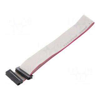 Ribbon cable with IDC connectors | Cable ph: 1mm | 0.3m | 20x28AWG