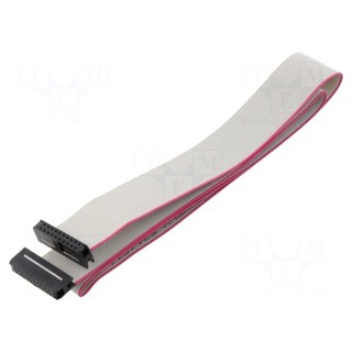 Ribbon cable with IDC connectors | Cable ph: 1mm | 0.6m | 20x28AWG