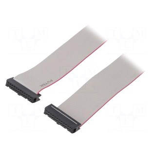 Ribbon cable with IDC connectors | 24x28AWG | Cable ph: 1.27mm