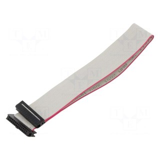 Ribbon cable with IDC connectors | Cable ph: 1mm | 0.3m | 24x28AWG