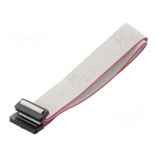 Ribbon cable with IDC connectors | Cable ph: 1mm | 0.6m | 24x28AWG