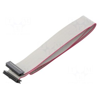 Ribbon cable with IDC connectors | Cable ph: 1mm | 0.6m | 24x28AWG