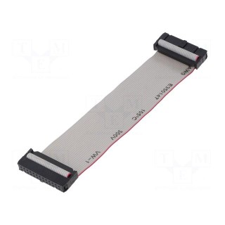 Ribbon cable with IDC connectors | 26x28AWG | Cable ph: 1.27mm