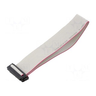 Ribbon cable with IDC connectors | Cable ph: 1mm | 0.3m | 26x28AWG