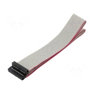 Ribbon cable with IDC connectors | Cable ph: 1mm | 0.6m | 26x28AWG