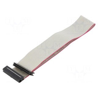 Ribbon cable with IDC connectors | Cable ph: 1mm | 0.15m | 30x28AWG