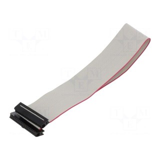 Ribbon cable with IDC connectors | Cable ph: 1mm | 0.3m | 30x28AWG