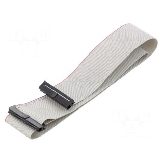 Ribbon cable with IDC connectors | Cable ph: 1mm | 0.6m | 30x28AWG