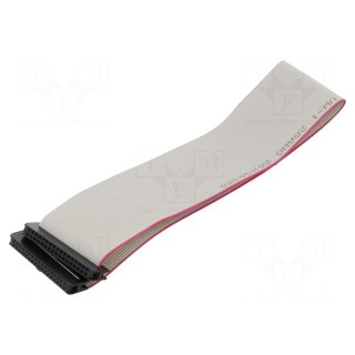 Ribbon cable with IDC connectors | Cable ph: 1mm | 0.3m | 34x28AWG