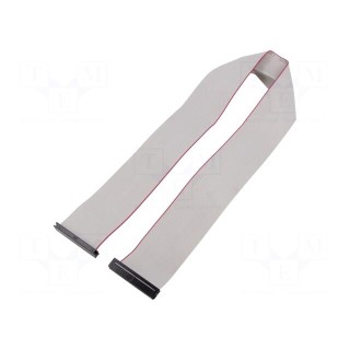 Ribbon cable with IDC connectors | Cable ph: 1mm | 0.6m | 40x28AWG