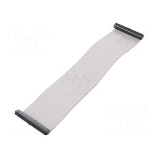 Ribbon cable with IDC connectors | 50x28AWG | Cable ph: 1.27mm