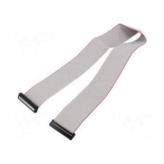 Ribbon cable with IDC connectors | Cable ph: 1mm | 0.6m | 50x28AWG
